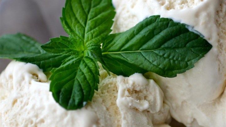 Honey Vanilla Ice Cream