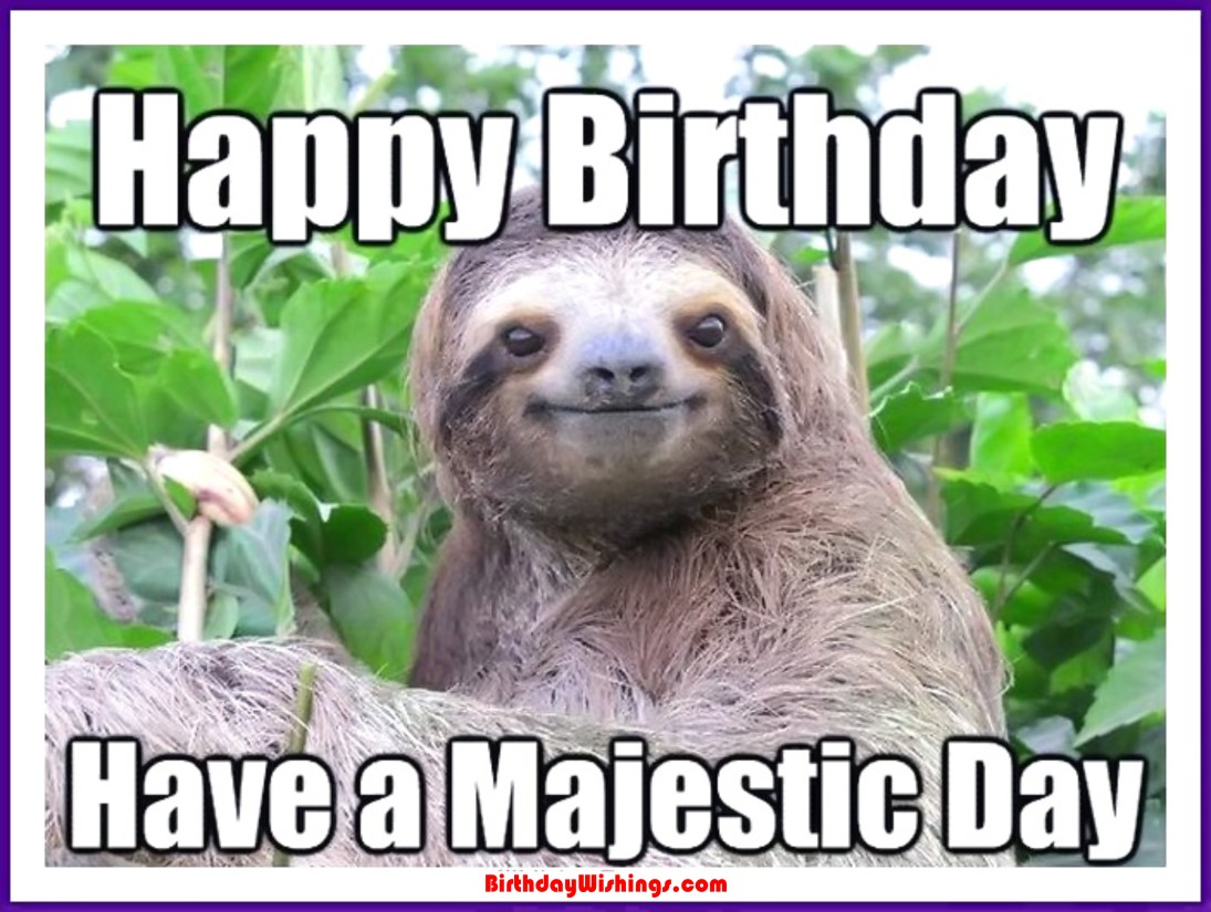 Funny Happy Birthday Memes