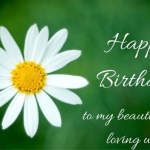 Birthday Wishes for your Wife